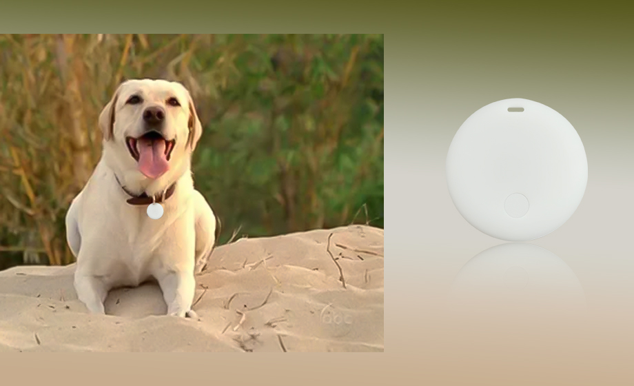 室內(nèi)定位器UWB狗狗防走丟守護(hù)狗狗的每一次探索 室內(nèi)定位器UWB狗狗防走丟守護(hù)狗狗的每一次探索